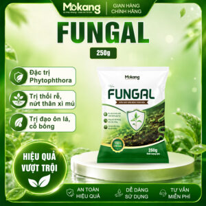 FUNGAL - Xử lý hiệu quả nấm Phytopthora, vàng lá thối rễ 250g